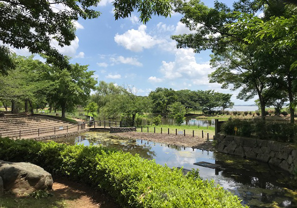 北柏ふるさと公園