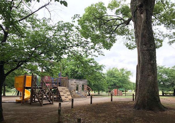 柏ふるさと公園