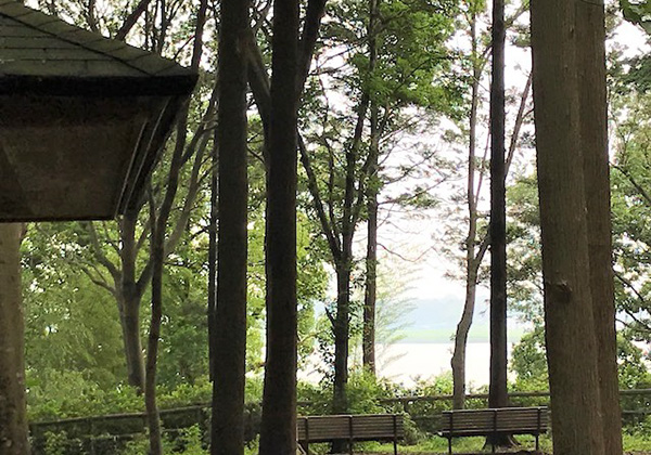 五本松公園